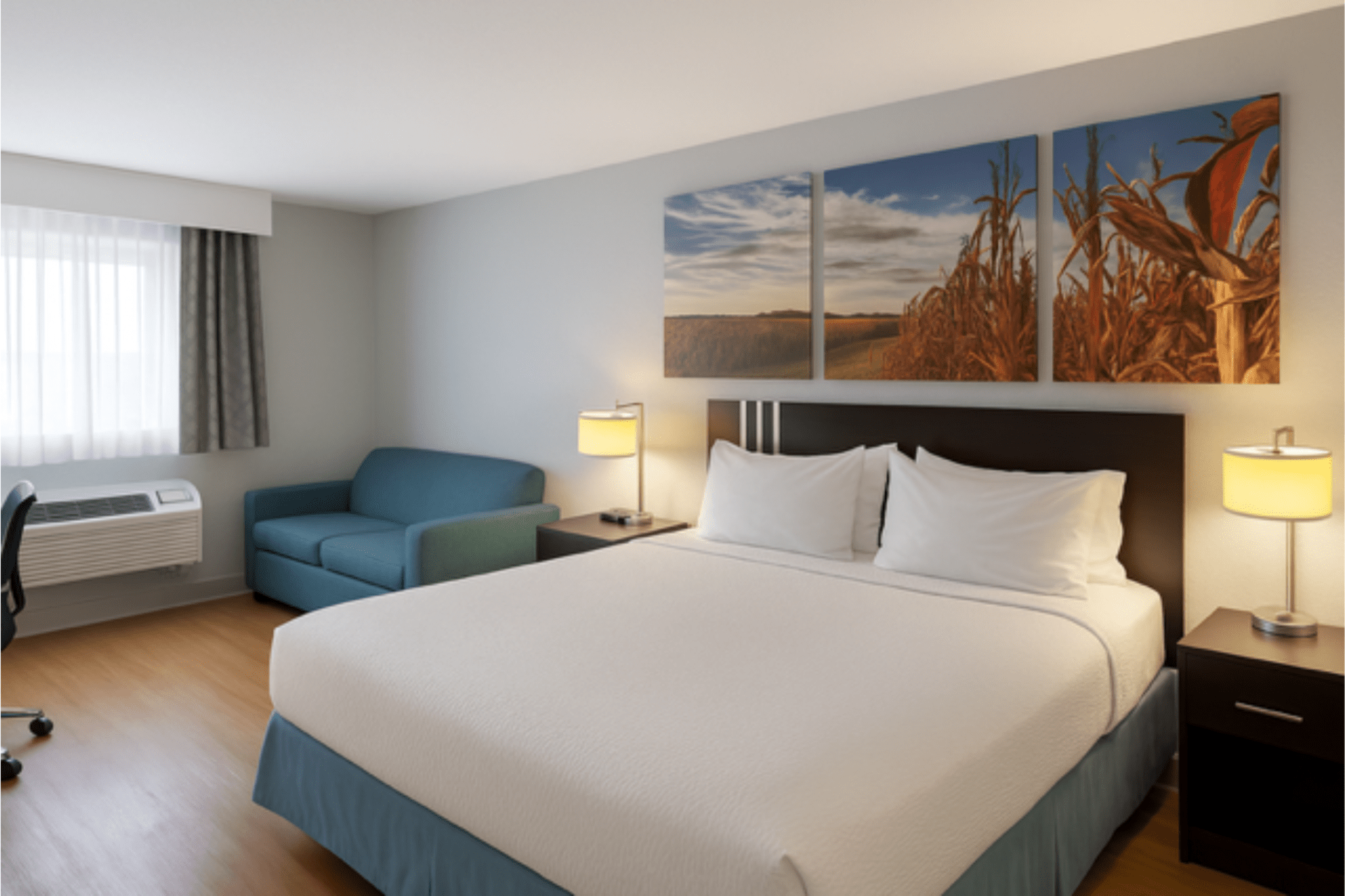 Comfortable, Pet-Friendly Rooms with Free Amenities