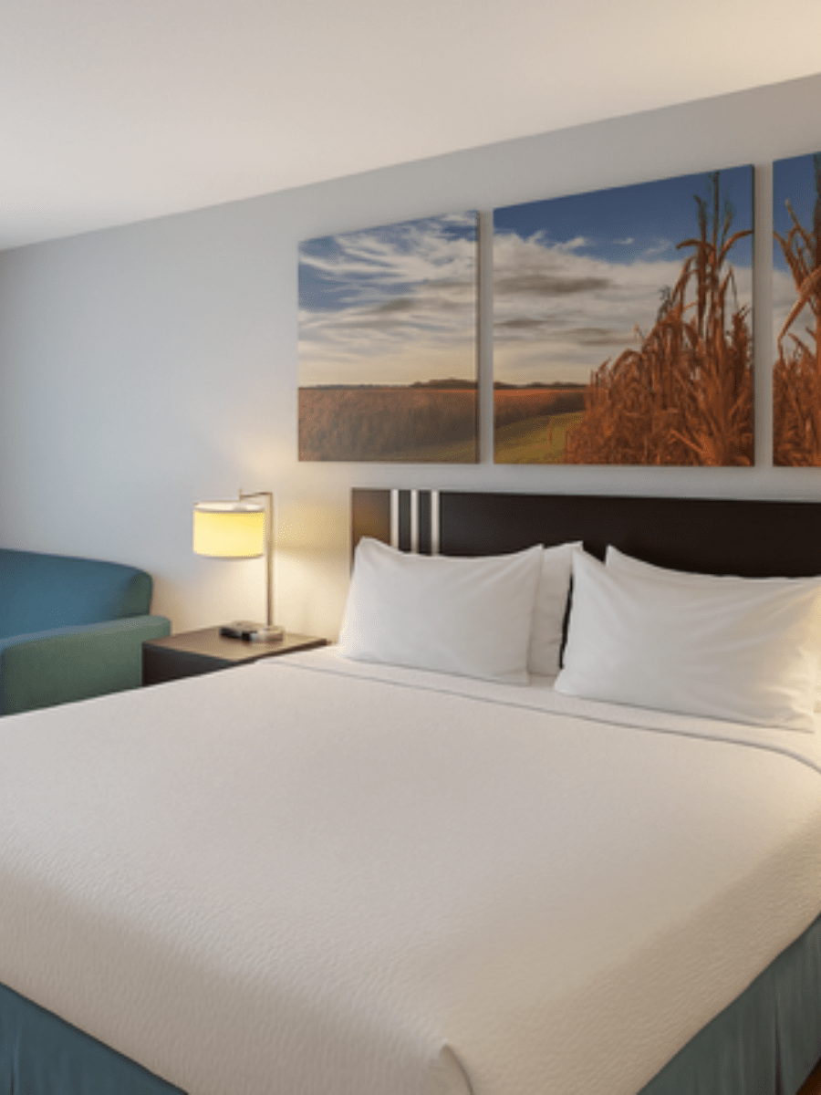 1 King Bed, Non-Smoking
